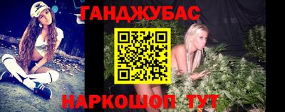 сатива Кандалакша