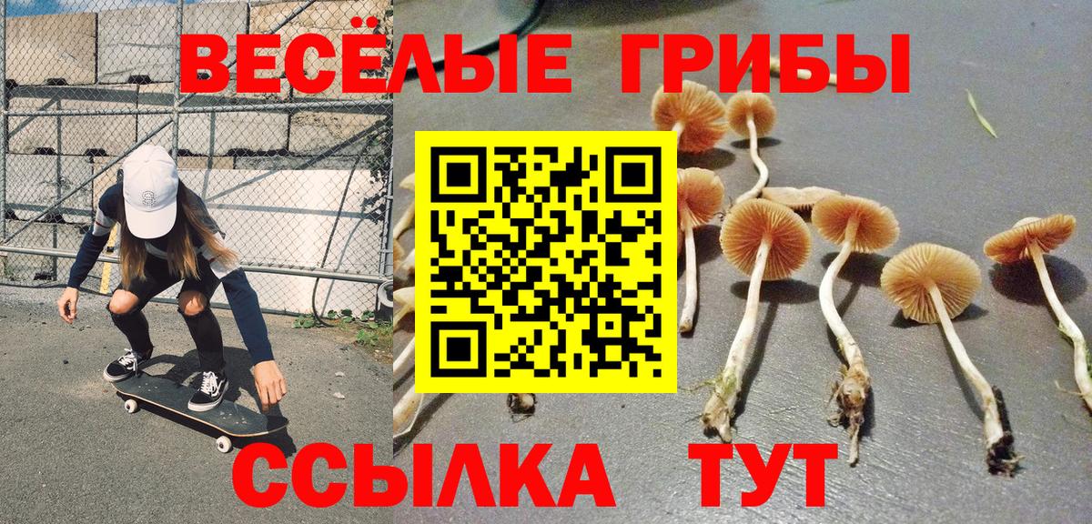 Псилоцибиновые грибы мицелий Верхняя Пышма