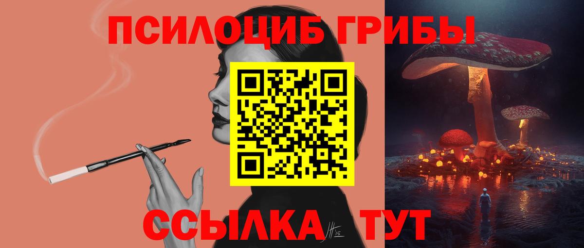 Верхняя Пышма  Галлюциногенные грибы прущие грибы  Галлюциногенные грибы прущие грибы  Вход с VPN 